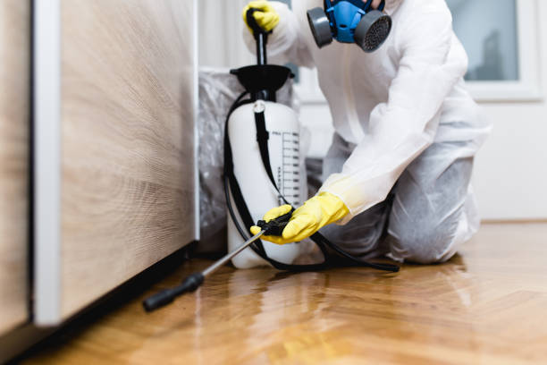 Best Pest Control Treatment  in Wilmore, KY