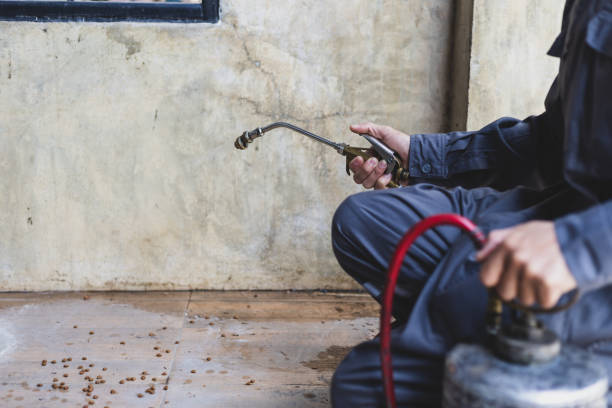 Best Residential Pest Control  in Wilmore, KY